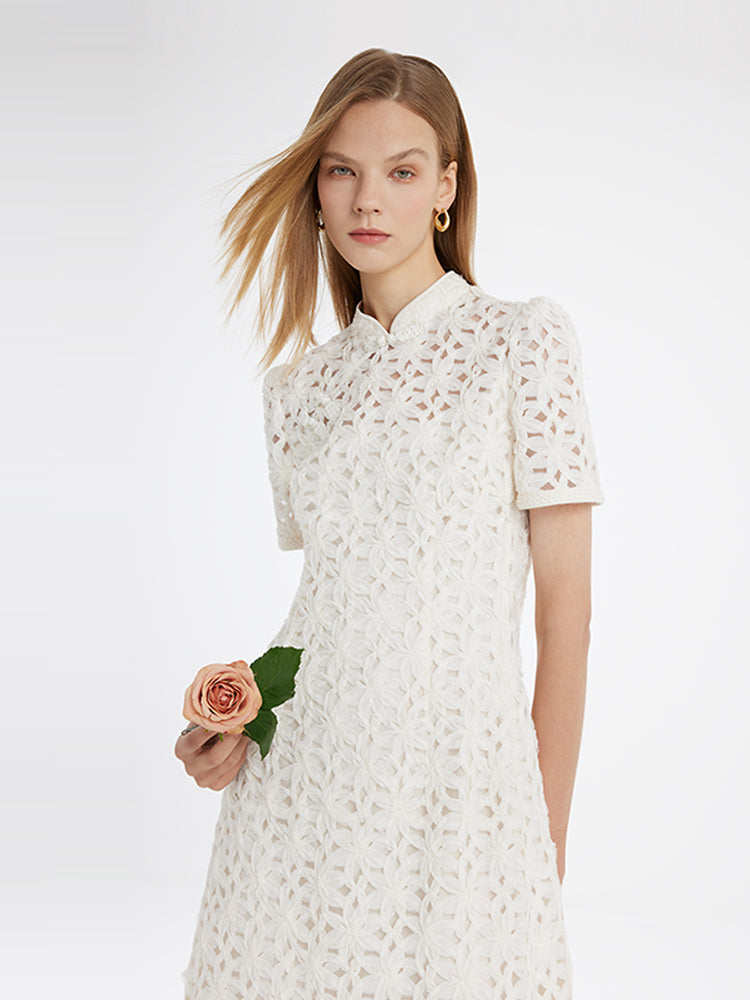Ajur Hakim Yaka Kadın Qipao Mini Elbise