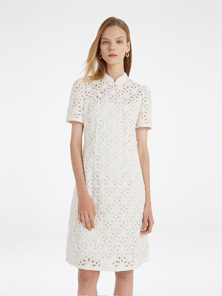 Ajur Hakim Yaka Kadın Qipao Mini Elbise