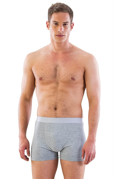 GRİ DesBerries 6700 Erkek Boxer