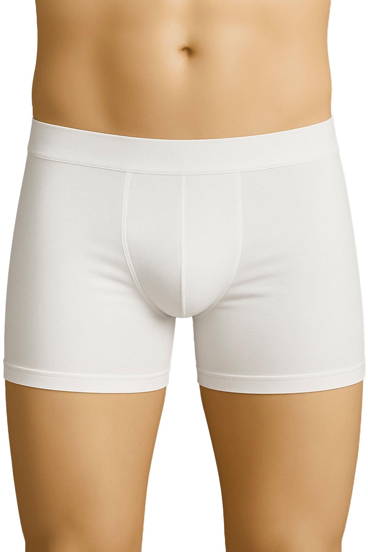BEYAZ DesBerries 6800 Erkek Boxer