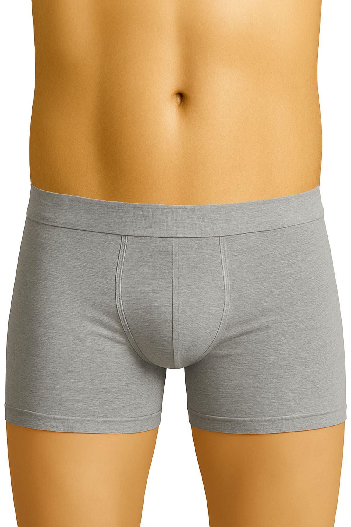 GRİ DesBerries 6800 Erkek Boxer