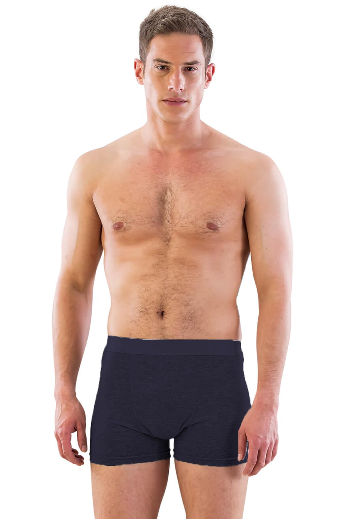 LACİVERT DesBerries 6800 Erkek Boxer