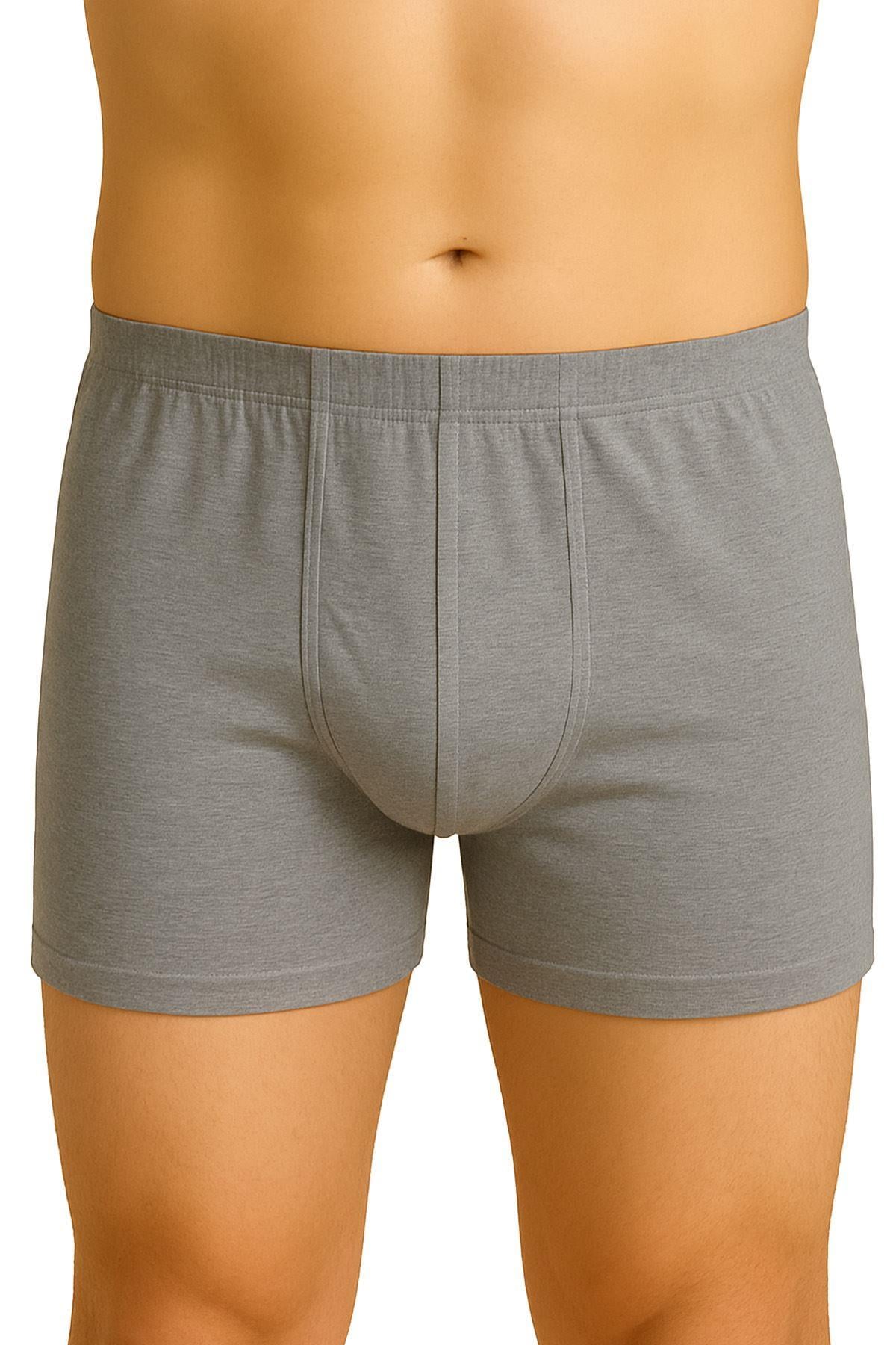 GRİ DesBerries 6810 Arjantin Erkek Boxer